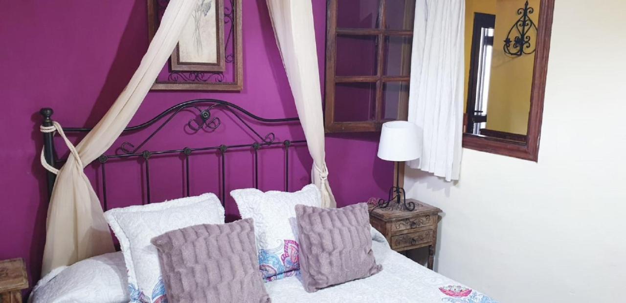 إيكود ذي لوس فينوس Villa Cateyma Icod المظهر الخارجي الصورة
